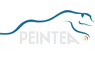 peintea